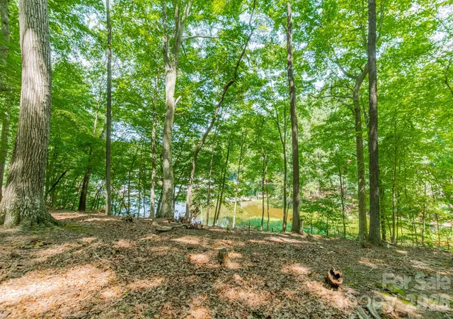5th image of 195 Agnew Rd, Mooresville, NC 28117 | MLS# 4416904
