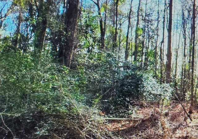 1st image of 00 S Rollins Dr, Kershaw, SC 29067 | MLS# 4417346