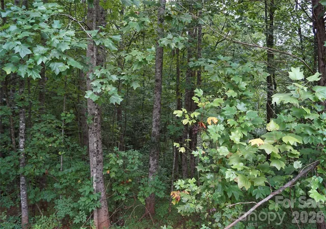 3rd image of 1139 Mckay Rd, Newton, NC 28658 | MLS# 4417390