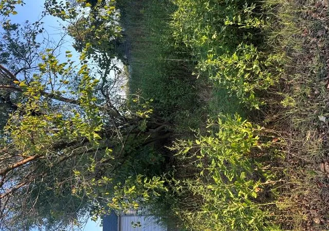 Photo 4 of Land for sale at Ne 40Th St, Oklahoma City, OK 73084 | MLS# 1246913 | Listing updated on 2026-08-31