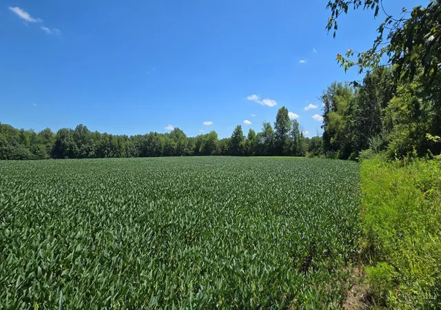 13th image of Fayetteville Blanchester Rd, Perry Twp, OH 45107 | MLS# 1889540