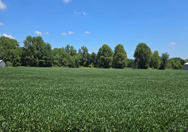1st image of Fayetteville Blanchester Rd, Perry Twp, OH 45107 | MLS# 1889540