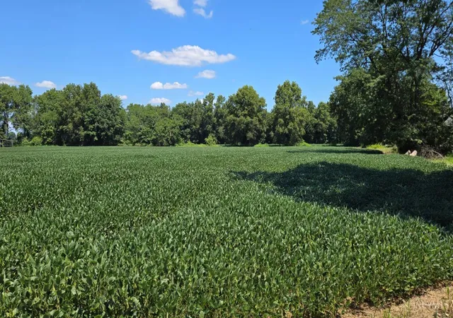 2nd image of Fayetteville Blanchester Rd, Perry Twp, OH 45107 | MLS# 1889540