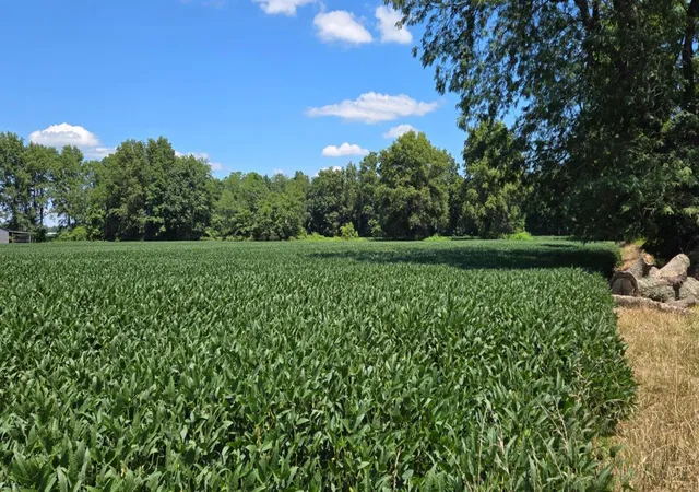 3rd image of Fayetteville Blanchester Rd, Perry Twp, OH 45107 | MLS# 1889540