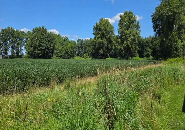 4th image of Fayetteville Blanchester Rd, Perry Twp, OH 45107 | MLS# 1889540