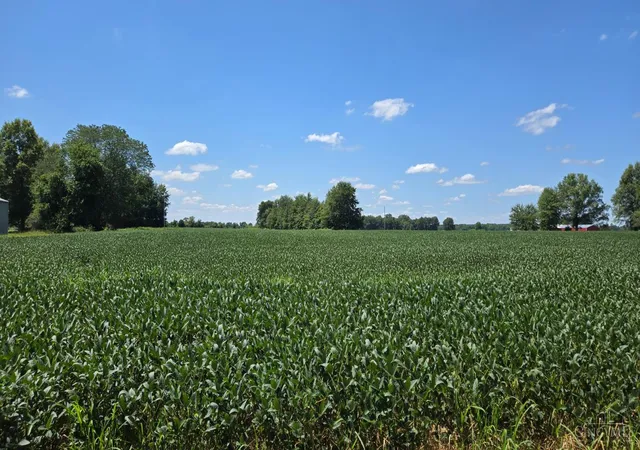 5th image of Fayetteville Blanchester Rd, Perry Twp, OH 45107 | MLS# 1889540