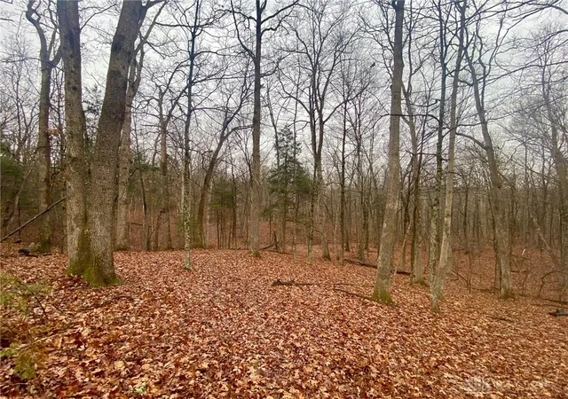 2nd image of 435 Rolling Hills Dr, West Union, OH 45693 | MLS# 950769