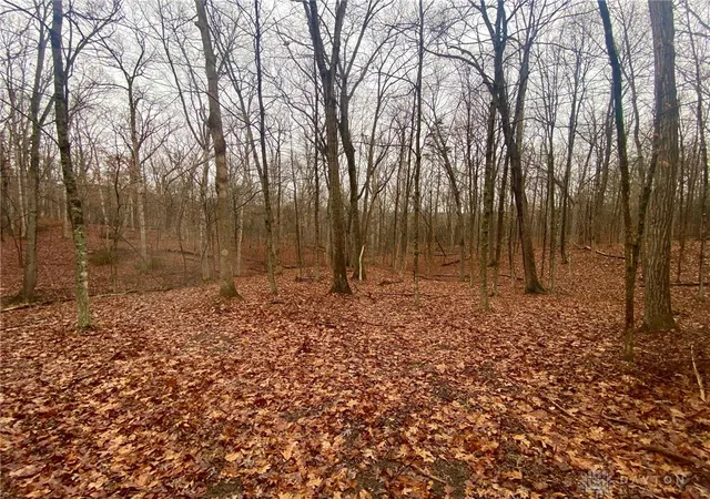3rd image of 435 Rolling Hills Dr, West Union, OH 45693 | MLS# 950769