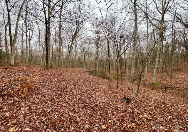 4th image of 435 Rolling Hills Dr, West Union, OH 45693 | MLS# 950769