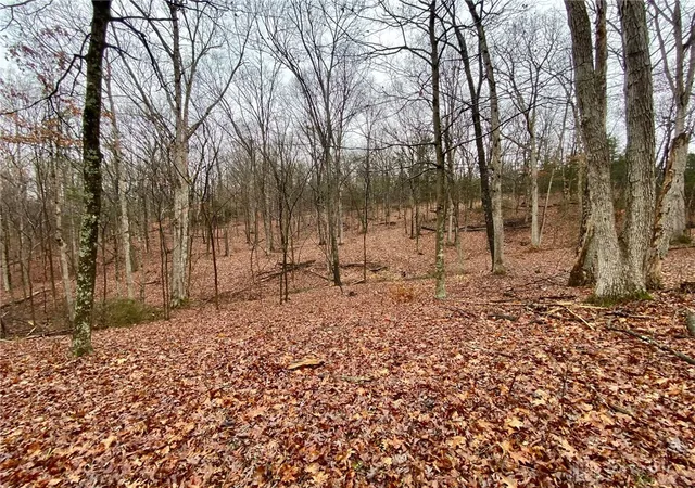 5th image of 435 Rolling Hills Dr, West Union, OH 45693 | MLS# 950769