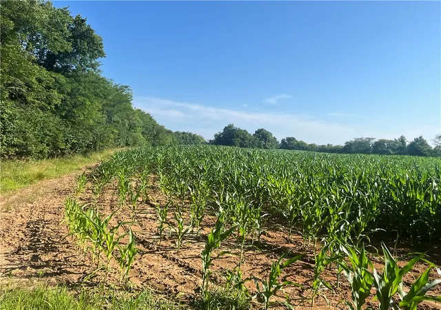3rd image of 0 Stephen Young Rd, Camden, OH 45311 | MLS# 963191