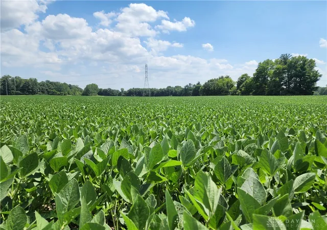 Photo 3 of Land for sale at 61 Acres Lammes Ln, Bethel Twp, OH 45344 | MLS# 964705 | Listing updated on 2026-08-24