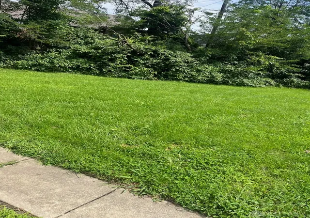 2nd image of 147 Laura Ave, Dayton, OH 45405 | MLS# 967204
