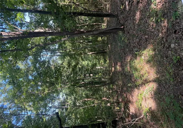 3rd image of 000 Aspen Road, Richwoods, MO 63071 | MLS# MIS26053454