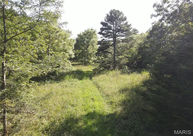 1st image of 000 Aspen Road, Richwoods, MO 63071 | MLS# MIS26053454