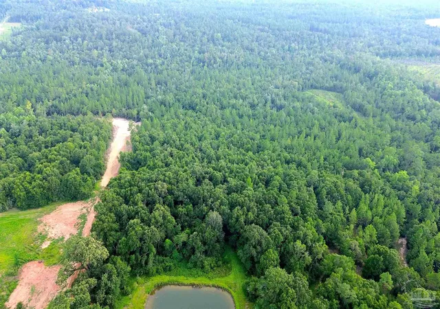 4th image of Lot 1 Mineral Springs Rd, Jay, FL 32565 | MLS# 686773