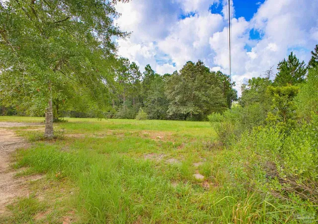 Photo 4 of Land for sale at 9550 Magnolia Springs Rd, Pensacola, FL 32526 | MLS# 687644 | Listing updated on 2026-09-10