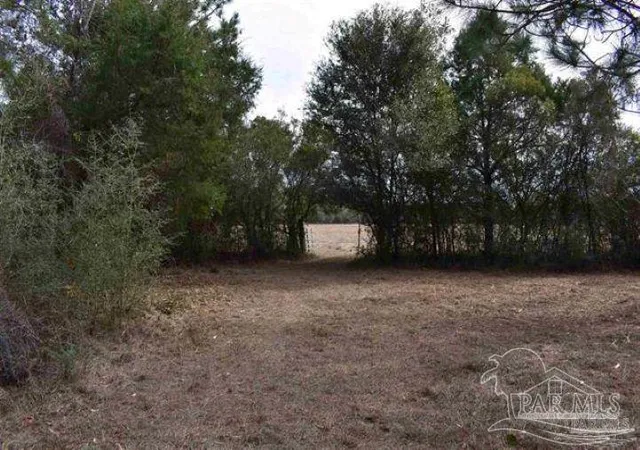 Photo 3 of Land for sale at 0001 Pat Brown Rd, Milton, FL 32570 | MLS# 686999 | Listing updated on 2026-08-26