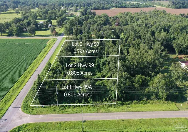 16th image of Lot 2 Hwy 99, Mc David, FL 32568 | MLS# 687299