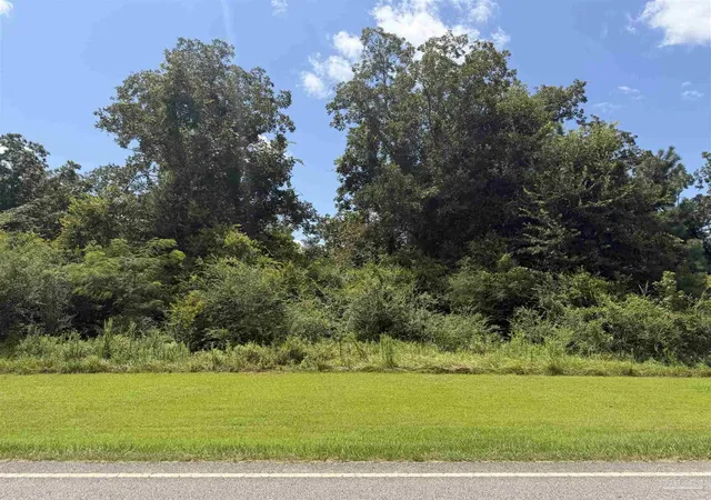 1st image of Lot 2 Hwy 99, Mc David, FL 32568 | MLS# 687299