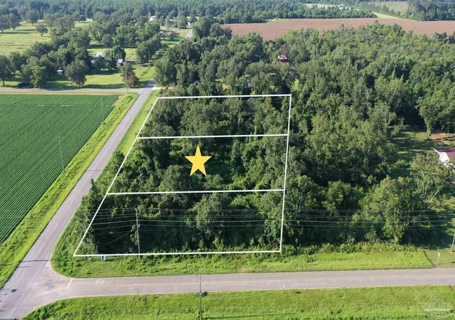2nd image of Lot 2 Hwy 99, Mc David, FL 32568 | MLS# 687299