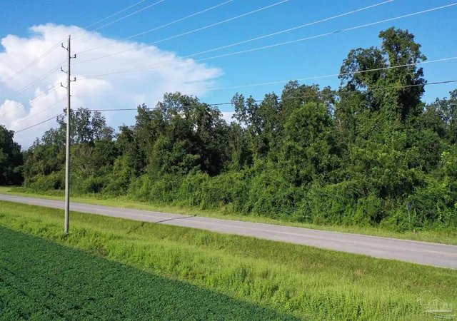 5th image of Lot 2 Hwy 99, Mc David, FL 32568 | MLS# 687299