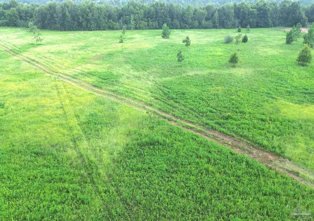 3rd image of Lot 3 Mineral Springs Rd, Jay, FL 32565 | MLS# 686775