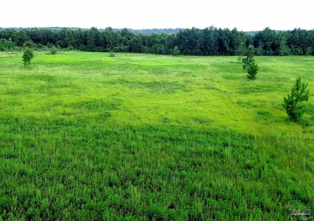 4th image of Lot 3 Mineral Springs Rd, Jay, FL 32565 | MLS# 686775