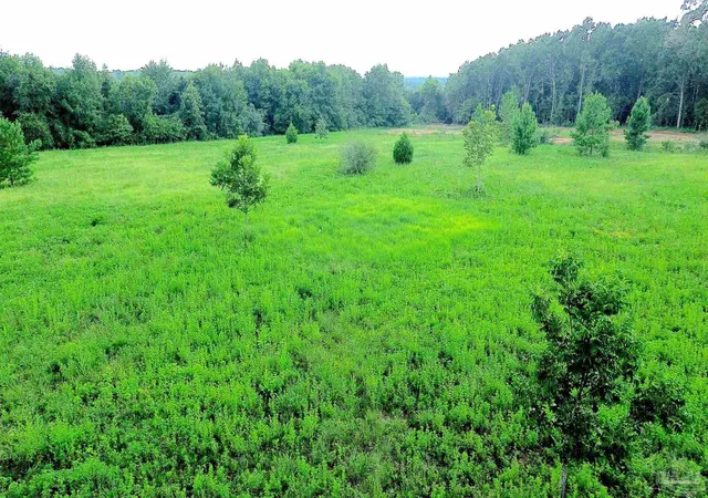 5th image of Lot 3 Mineral Springs Rd, Jay, FL 32565 | MLS# 686775