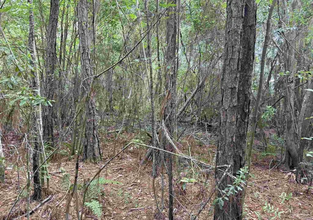 17th image of 0000 San Raphael Rd, Milton, FL 32583 | MLS# 687294
