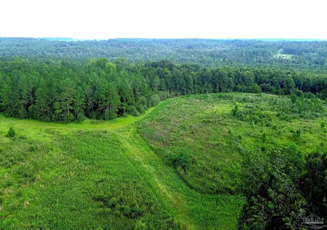 Photo 2 of Land for sale at Lot 4 Mineral Springs Rd, Jay, FL 32565 | MLS# 686776 | Listing updated on 2026-08-05