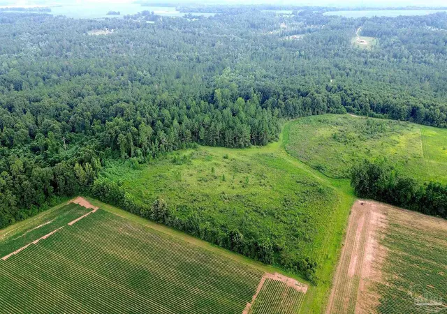 Photo 3 of Land for sale at Lot 4 Mineral Springs Rd, Jay, FL 32565 | MLS# 686776 | Listing updated on 2026-08-05