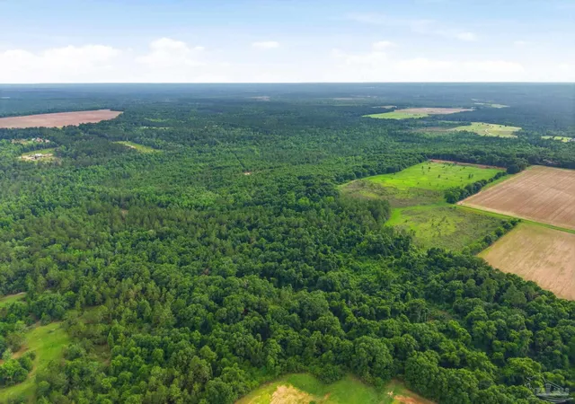 Photo 3 of Land for sale at Lot 4 Mineral Springs Rd, Jay, FL 32565 | MLS# 686776 | Listing updated on 2026-08-05