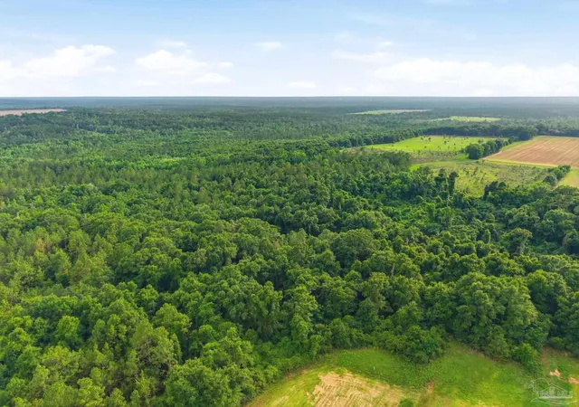 Photo 4 of Land for sale at Lot 4 Mineral Springs Rd, Jay, FL 32565 | MLS# 686776 | Listing updated on 2026-08-05