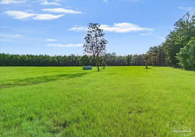 Photo 3 of Land for sale at Tbd Gin Rd, Jay, FL 32565 | MLS# 687965 | Listing updated on 2026-08-25