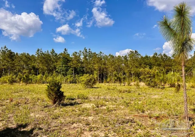 Photo 4 of Land for sale at Lot 54 S Timber Ln, Jay, FL 32565 | MLS# 685875 | Listing updated on 2026-08-03