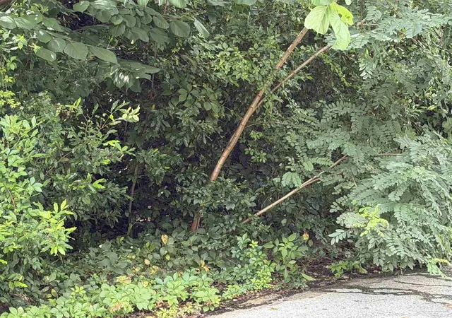 Photo 1 of Land for sale at 22 Lime St, Pensacola, FL 32505 | MLS# 686328 | Listing updated on 2026-07-23