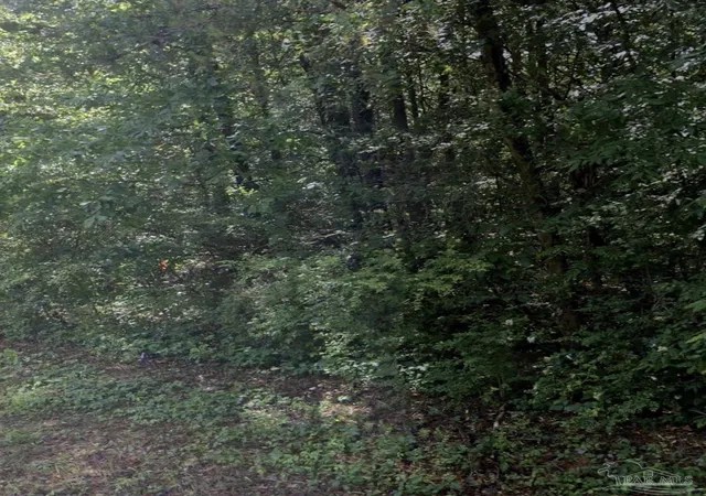 2nd image of 645 Pineview Rd, Trussville, AL 35173 | MLS# 687688