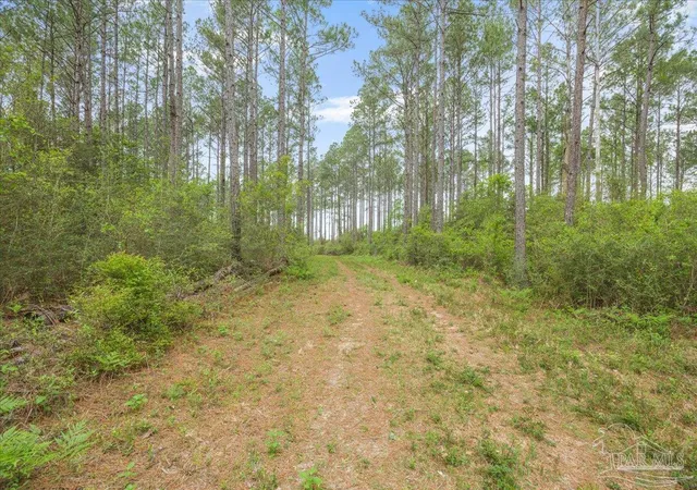 Photo 4 of Land for sale at 8260 Gin Rd, North Pace, FL 32571 | MLS# 687889 | Listing updated on 2026-08-22