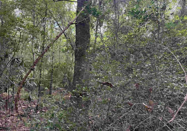 Photo 13 of Land for sale at 5007 Lillian Hwy, Pensacola, FL 32506 | MLS# 687250 | Listing updated on 2026-08-10