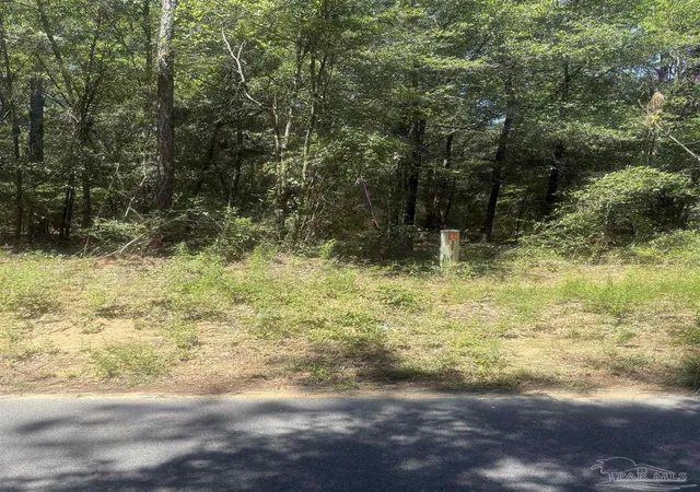 Photo 4 of Land for sale at Bryant Brg Cut Off, Holt, FL 32564 | MLS# 685986 | Listing updated on 2026-09-01
