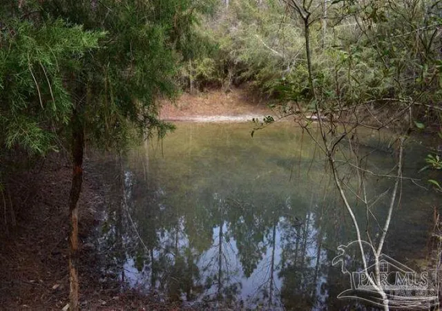 Photo 1 of Land for sale at 0002 Pat Brown Rd, Milton, FL 32570 | MLS# 687000 | Listing updated on 2026-08-26