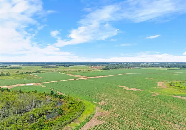 Photo 10 of Land for sale at 0 Manning Rd, Atmore, AL 36502 | MLS# 687262 | Listing updated on 2026-08-10