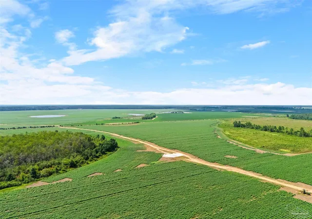 Photo 1 of Land for sale at 0 Manning Rd, Atmore, AL 36502 | MLS# 687262 | Listing updated on 2026-08-10