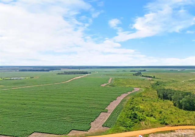 Photo 2 of Land for sale at 0 Manning Rd, Atmore, AL 36502 | MLS# 687262 | Listing updated on 2026-08-10