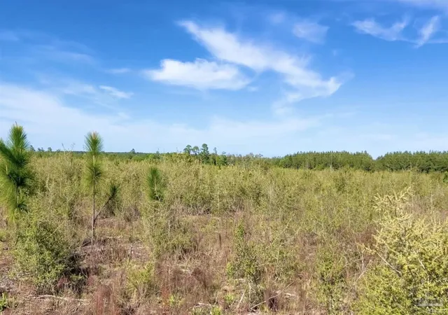 1st image of Lot 58 South Timber Ln, Jay, FL 32565 | MLS# 686017