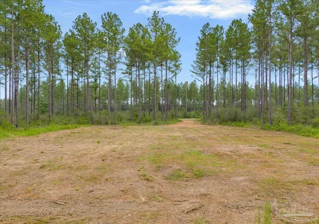 Photo 1 of Land for sale at 1403 Mineral Springs Rd, Jay, FL 32565 | MLS# 686779 | Listing updated on 2026-08-24