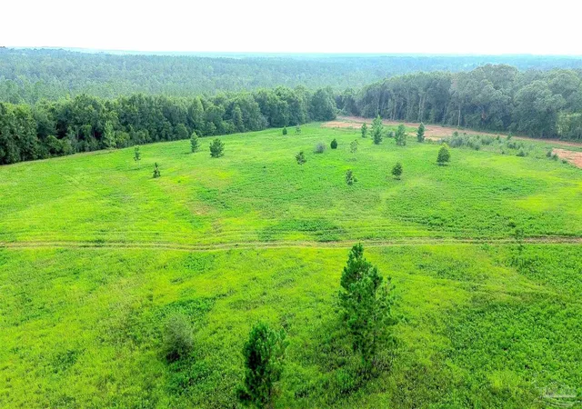 2nd image of Lot 2 Mineral Springs Rd, Jay, FL 32565 | MLS# 686774