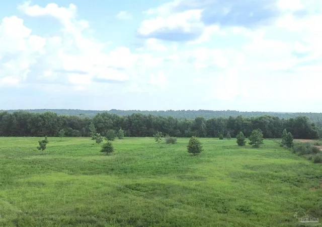 Photo 4 of Land for sale at Lot 2 Mineral Springs Rd, Jay, FL 32565 | MLS# 686774 | Listing updated on 2026-08-05
