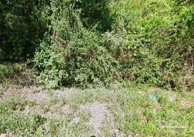 Photo 2 of Land for sale at 3038 Sw 33rd Street, Birmingham, AL 35211 | MLS# 686116 | Listing updated on 2026-08-18